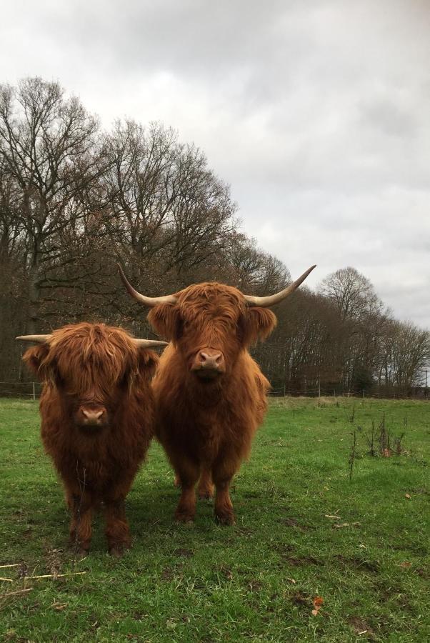 Le Rucher Bois-Normand-près-Lyre Exterior foto